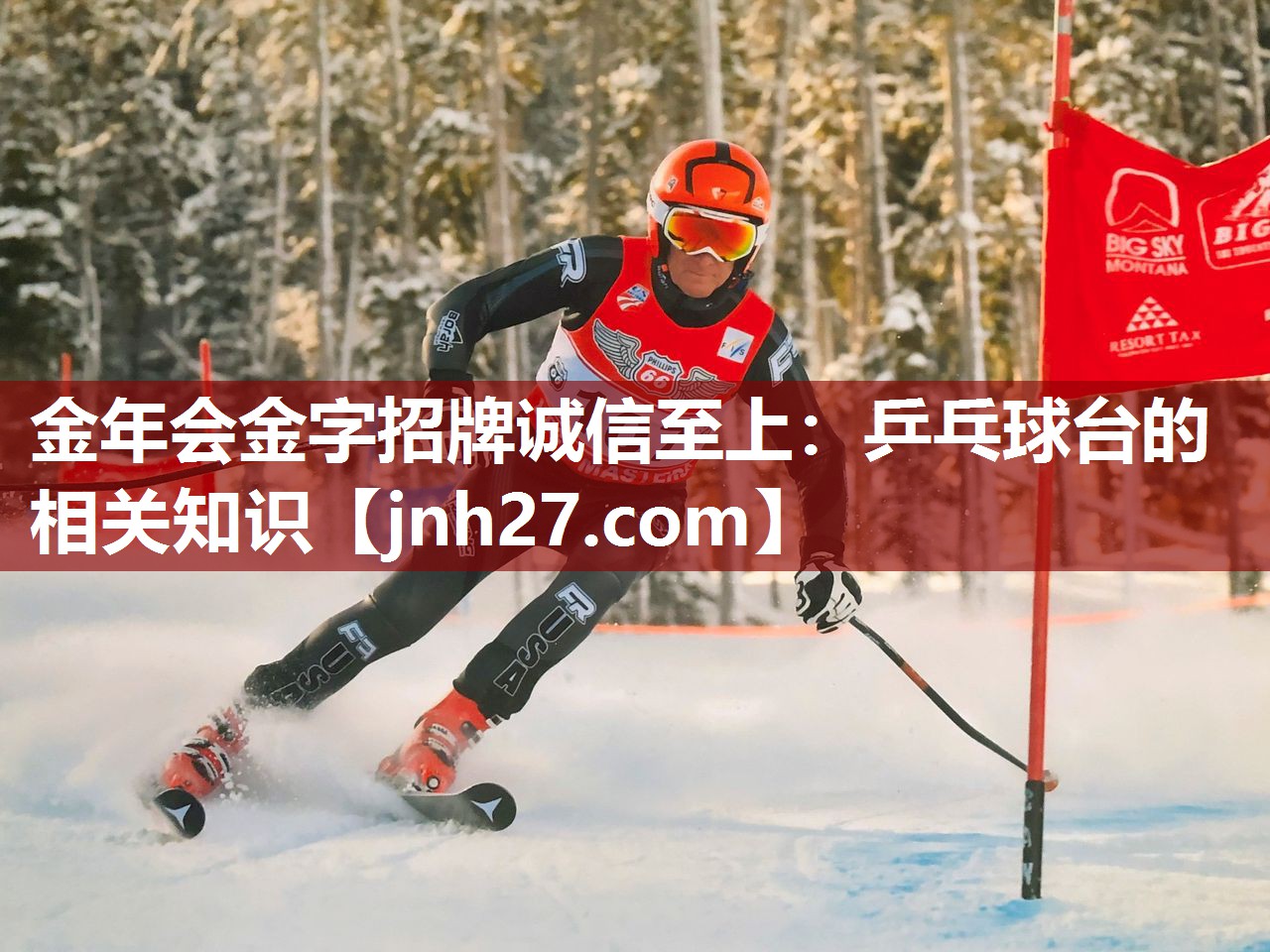 乒乓球台的相关知识