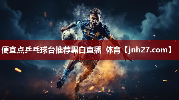 便宜点乒乓球台推荐黑白直播 体育