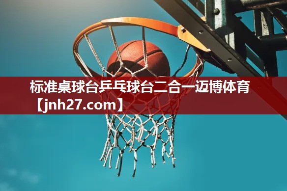 标准桌球台乒乓球台二合一迈博体育