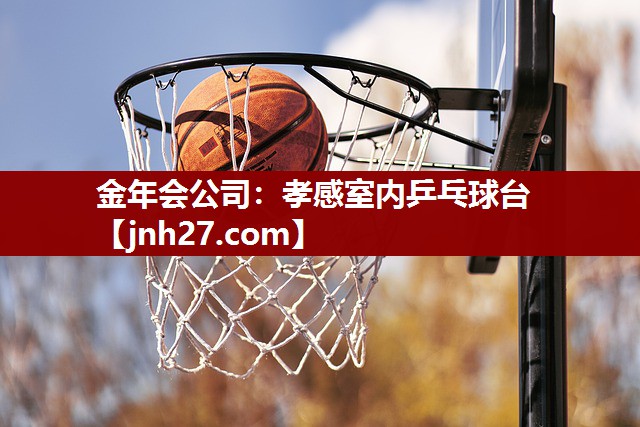 金年会公司：孝感室内乒乓球台