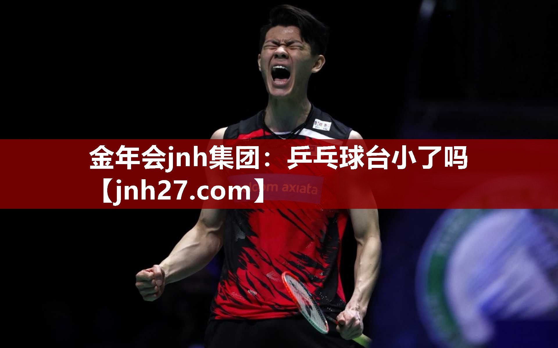 金年会jnh集团：乒乓球台小了吗