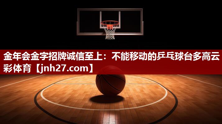 金年会金字招牌诚信至上：不能移动的乒乓球台多高云彩体育
