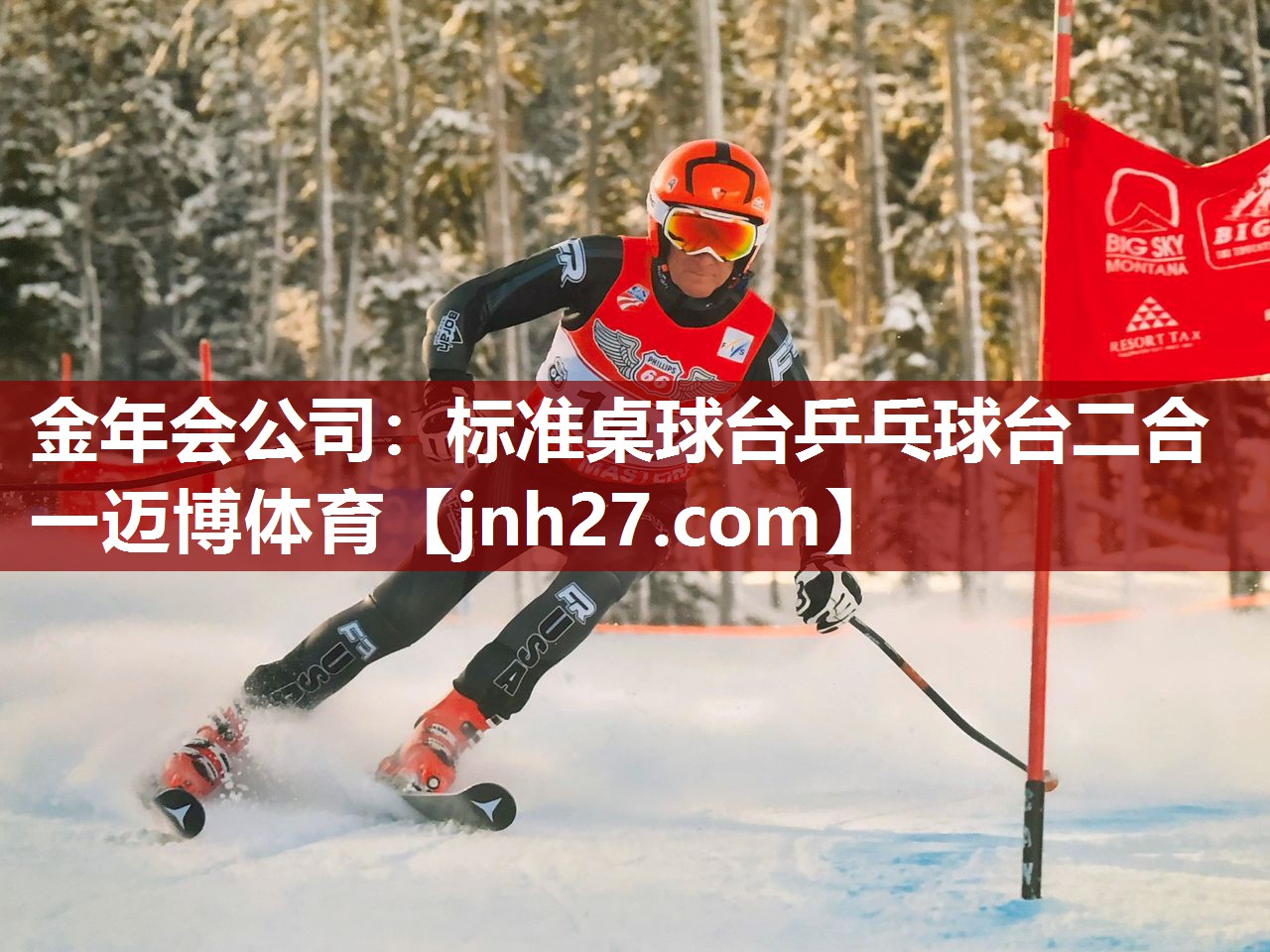 金年会公司：标准桌球台乒乓球台二合一迈博体育