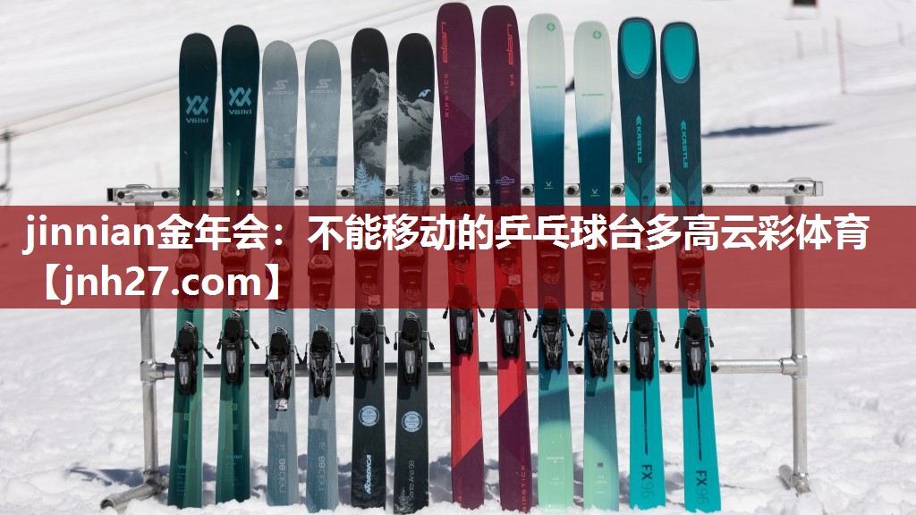jinnian金年会：不能移动的乒乓球台多高云彩体育