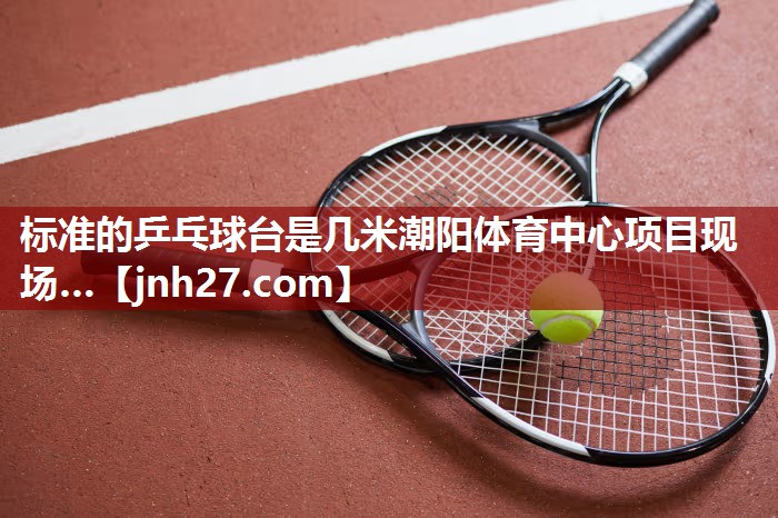 标准的乒乓球台是几米潮阳体育中心项目现场…