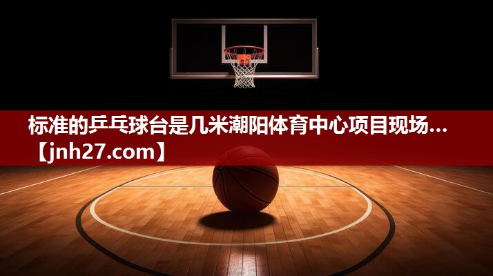 标准的乒乓球台是几米潮阳体育中心项目现场…