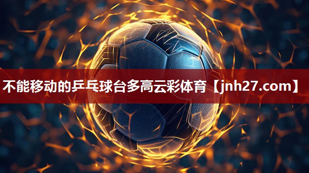 不能移动的乒乓球台多高云彩体育