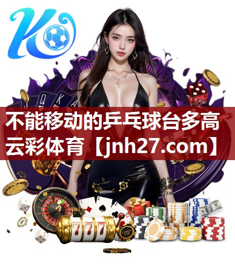 不能移动的乒乓球台多高云彩体育