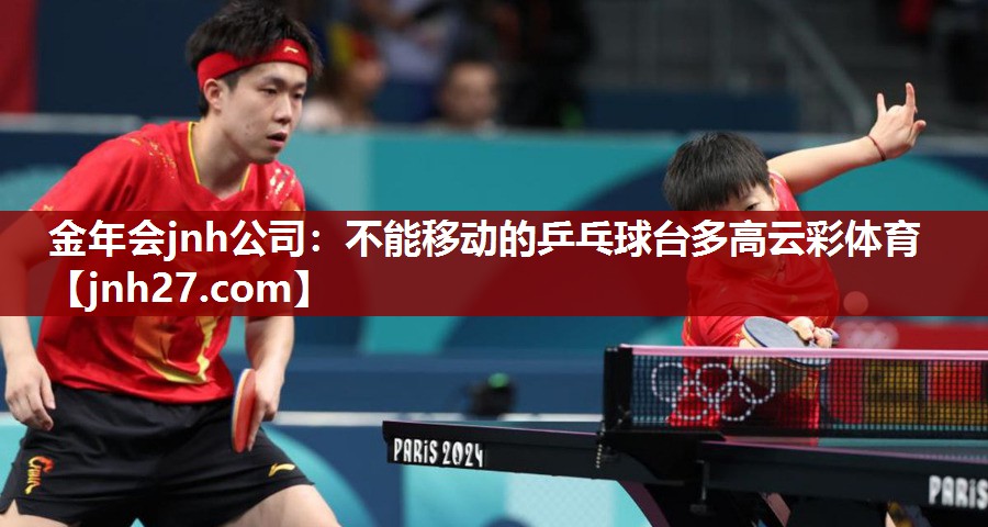 金年会jnh公司：不能移动的乒乓球台多高云彩体育