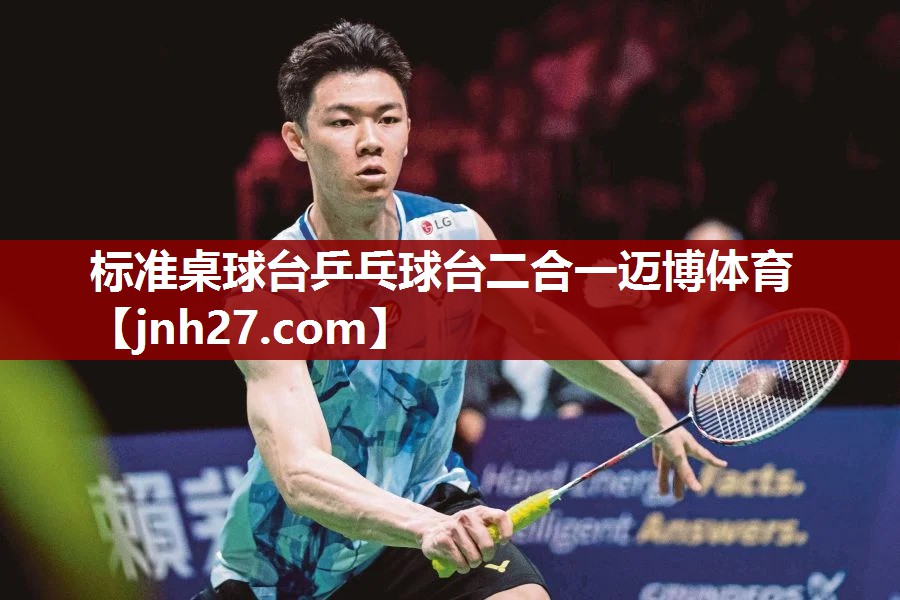 标准桌球台乒乓球台二合一迈博体育