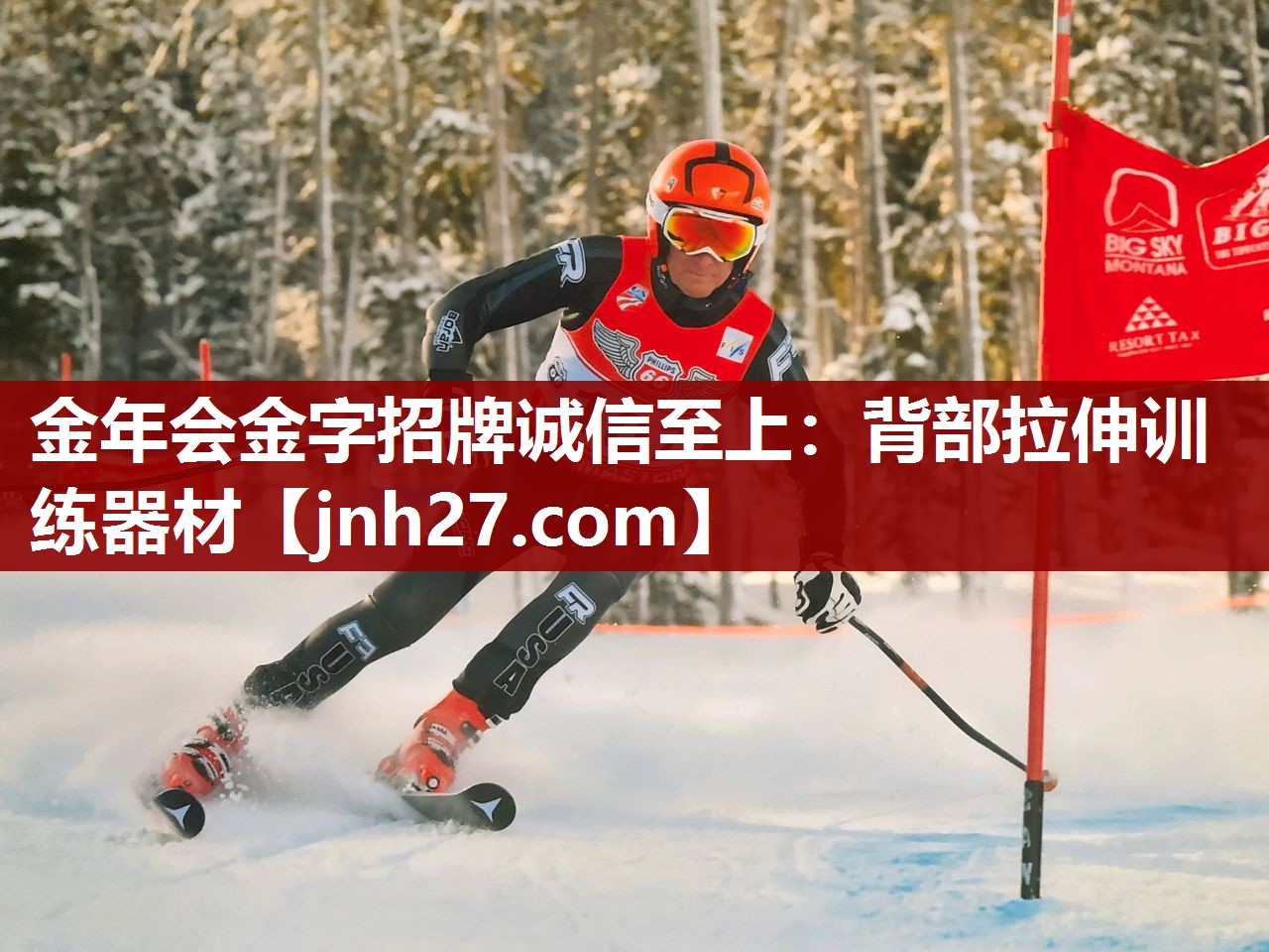 背部拉伸训练器材