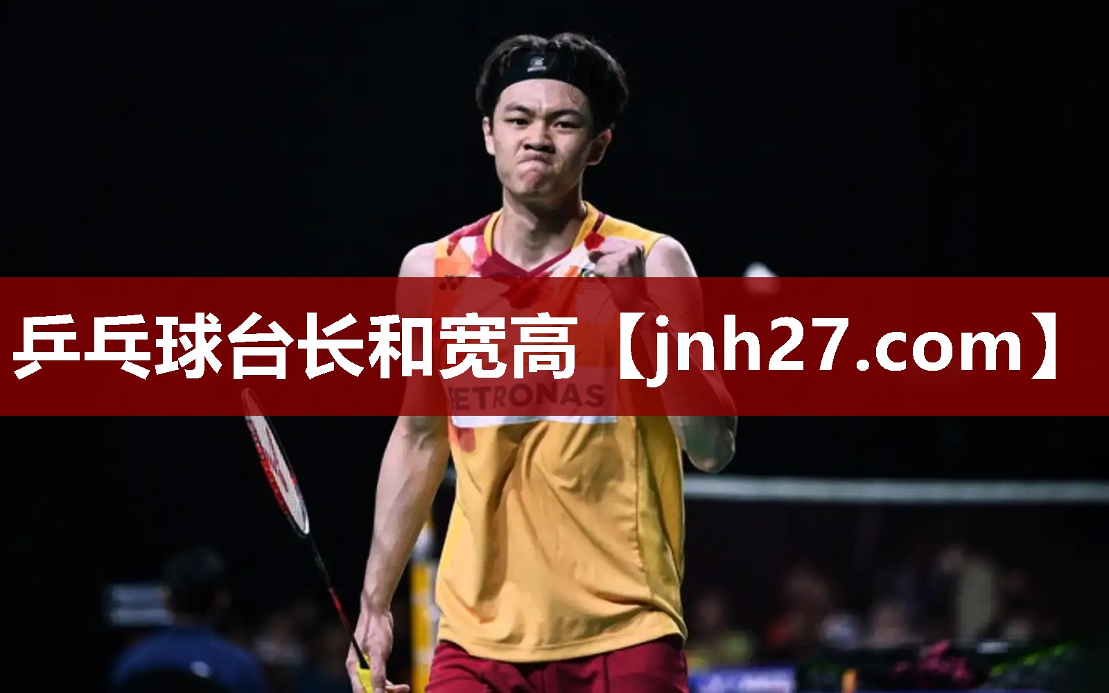乒乓球台长和宽高